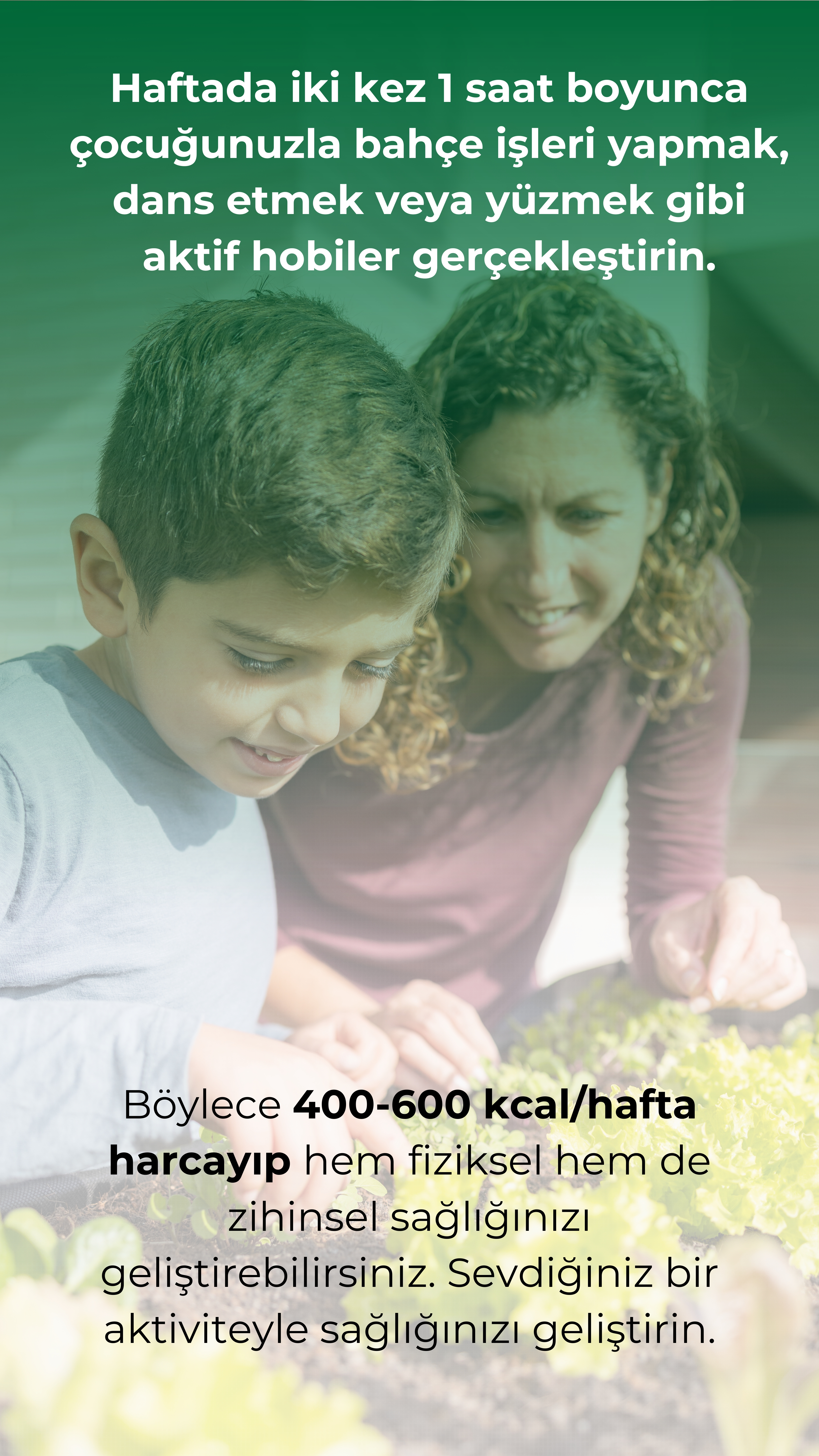 81. Gün Afilş